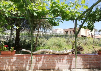 Casa Vacanze Appartamento Familyholidays Gelsonia